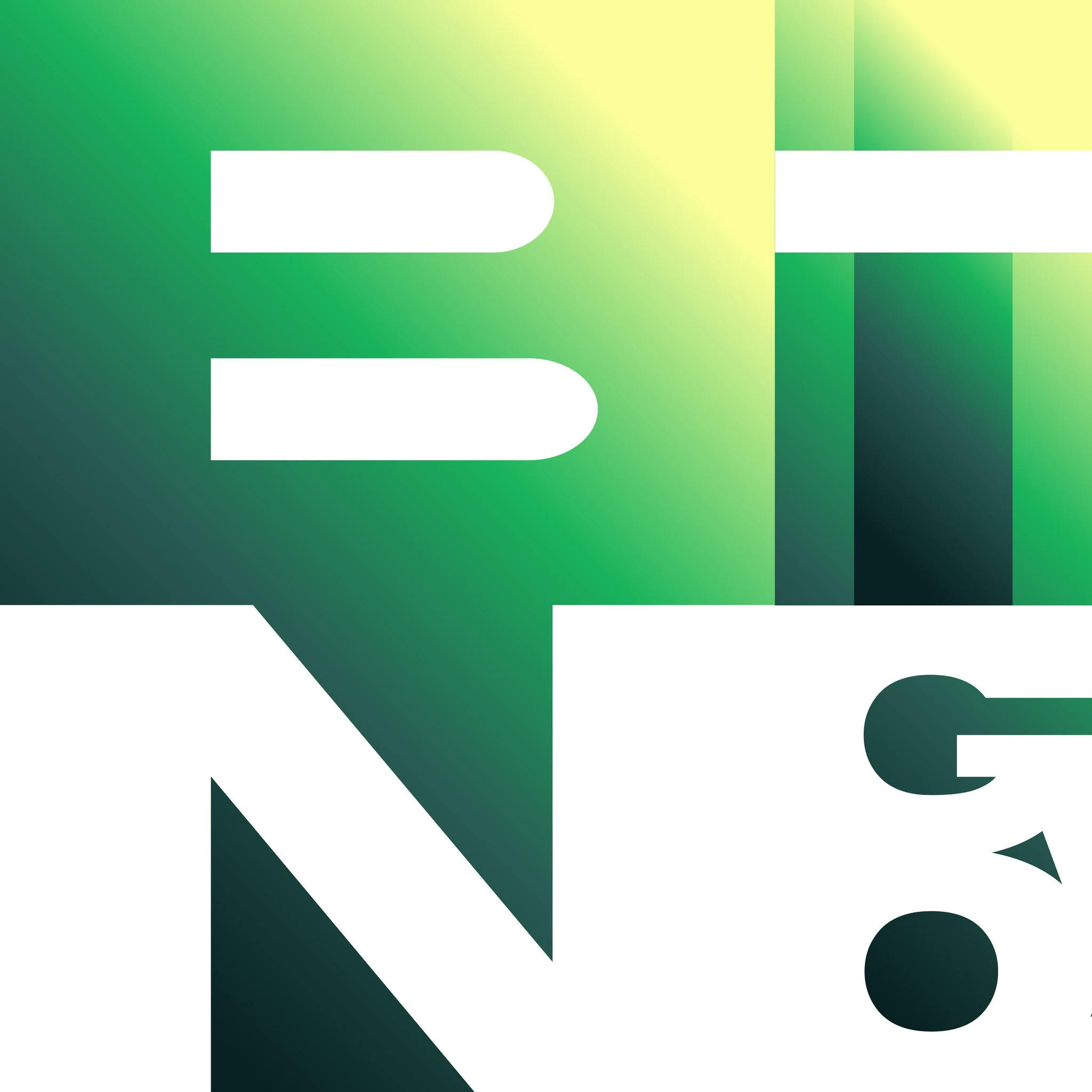 The BI NGO Final Logo