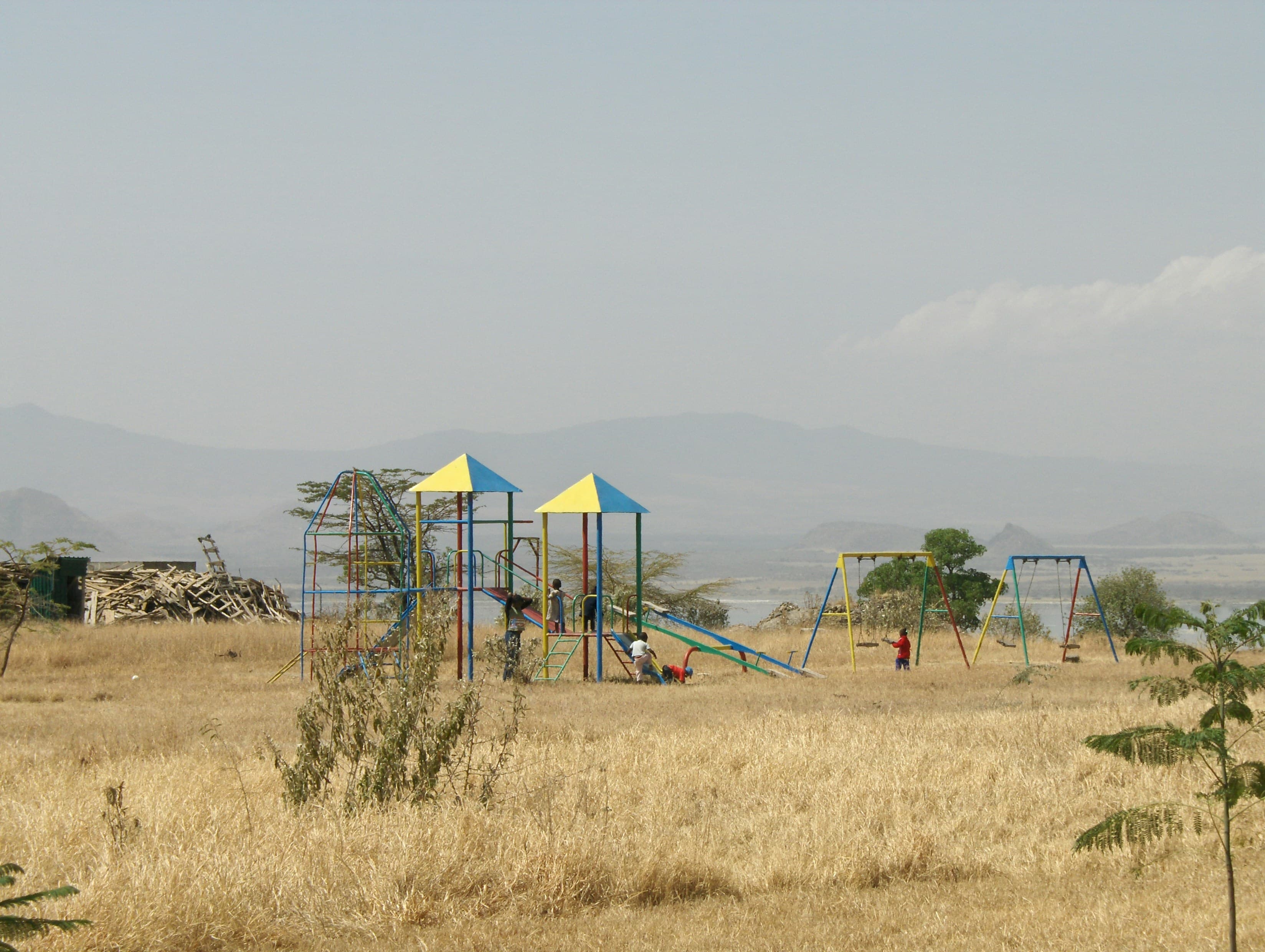 Cover image for I’m a Musician Who Happens to Be African