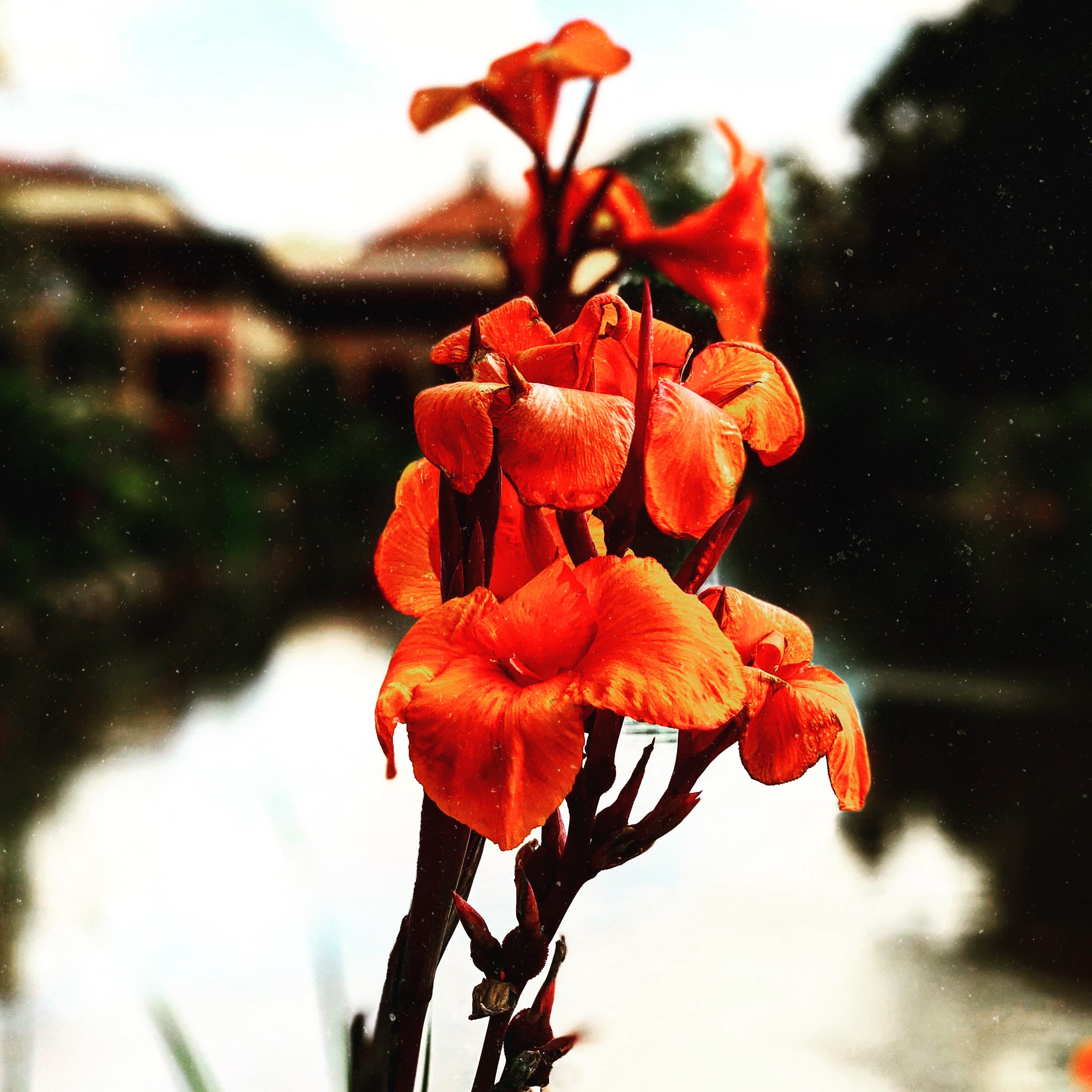 Reverie by the Water