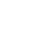 Flower 2