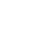 Hummingbird 1