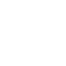 Hummingbird 2